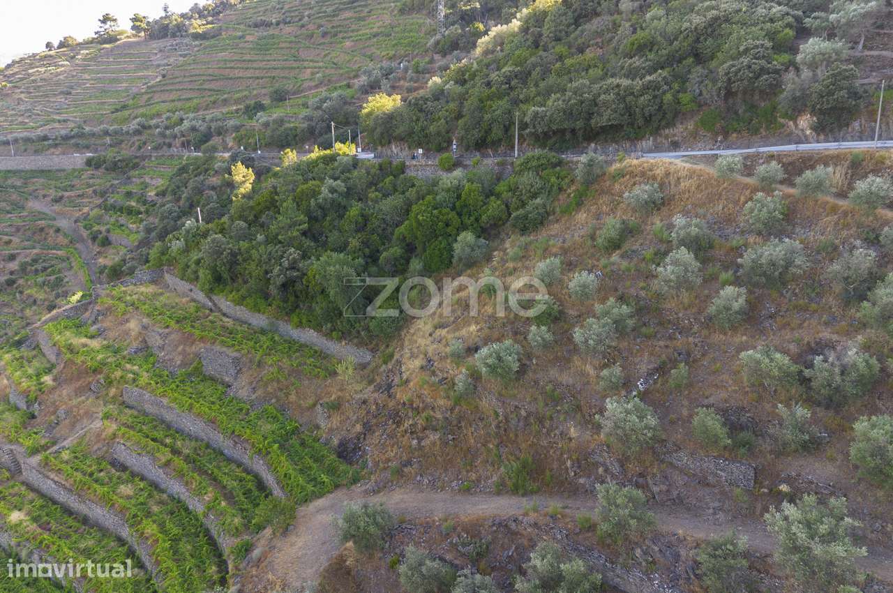 Terreno Rústico, S. Cristovão do Douro - Grande imagem: 2/15