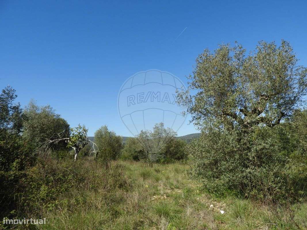 Terreno  para venda - Grande imagem: 3/10