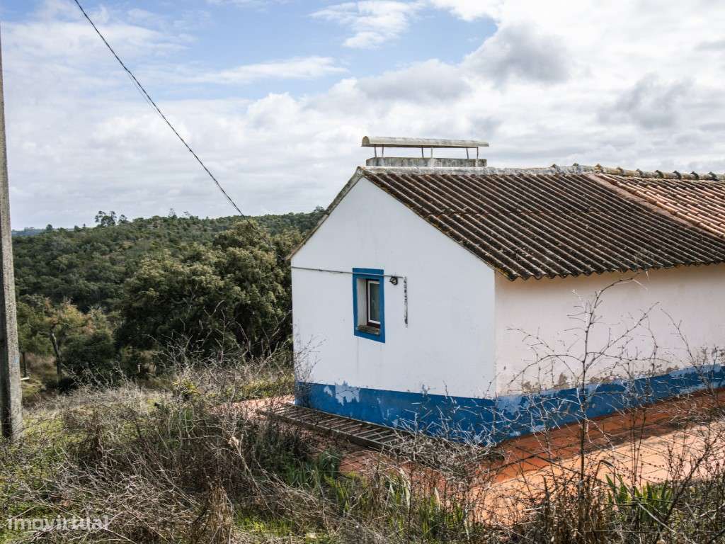 ** Fantástico Monte Alentejano com 50.000m2 Próximo a Maravilhosa C...-38