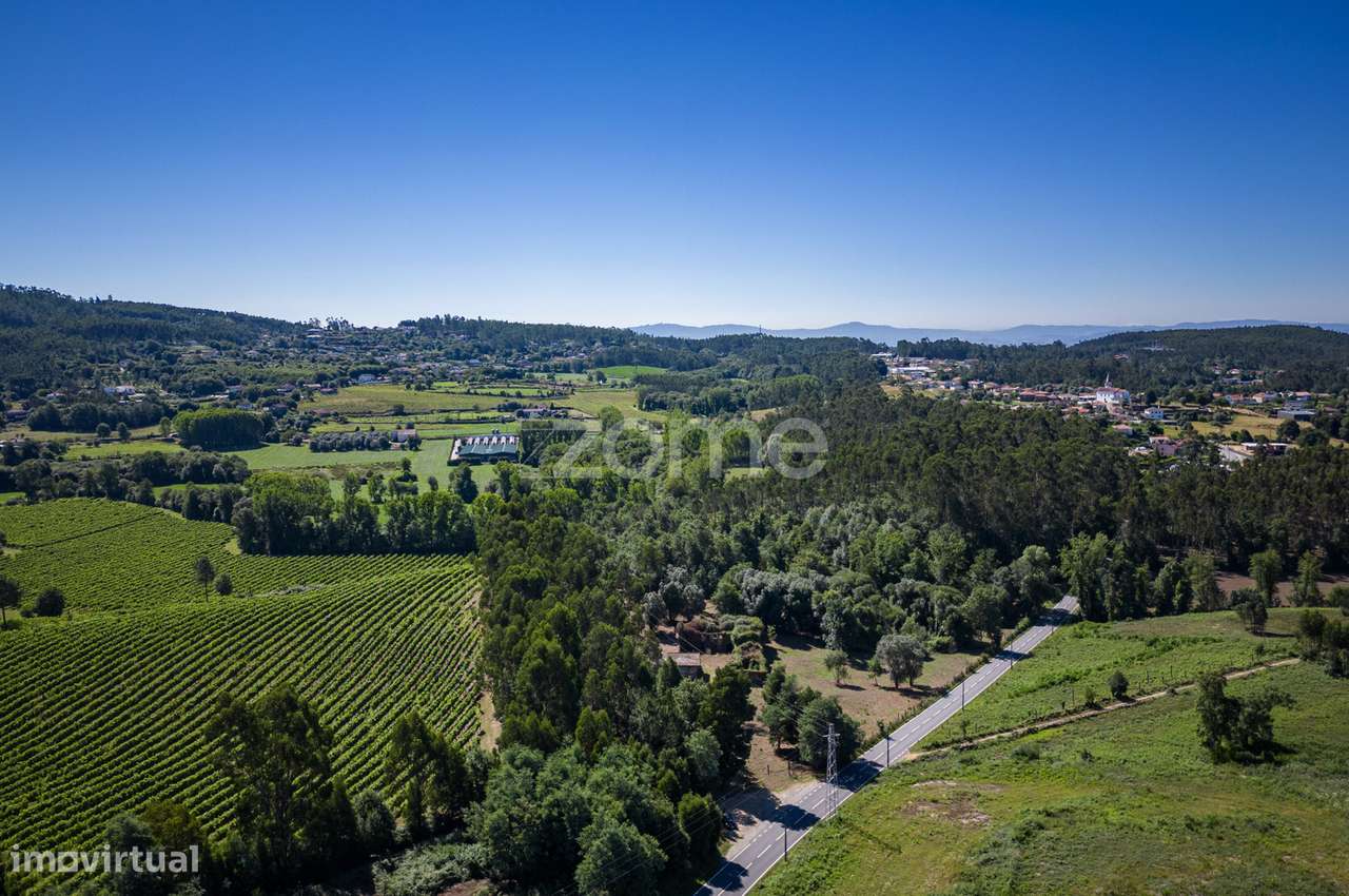 Quinta em ruina c/ 24.650m2 de terreno em Arcozelo, Vila Verde - Grande imagem: 4/32