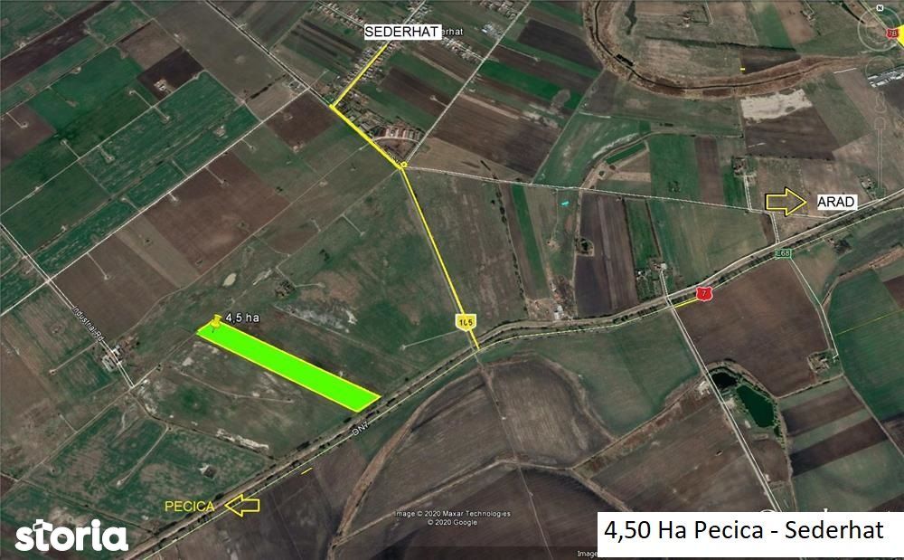 4,5 ha teren aproape de sosea Arad-Pecica
