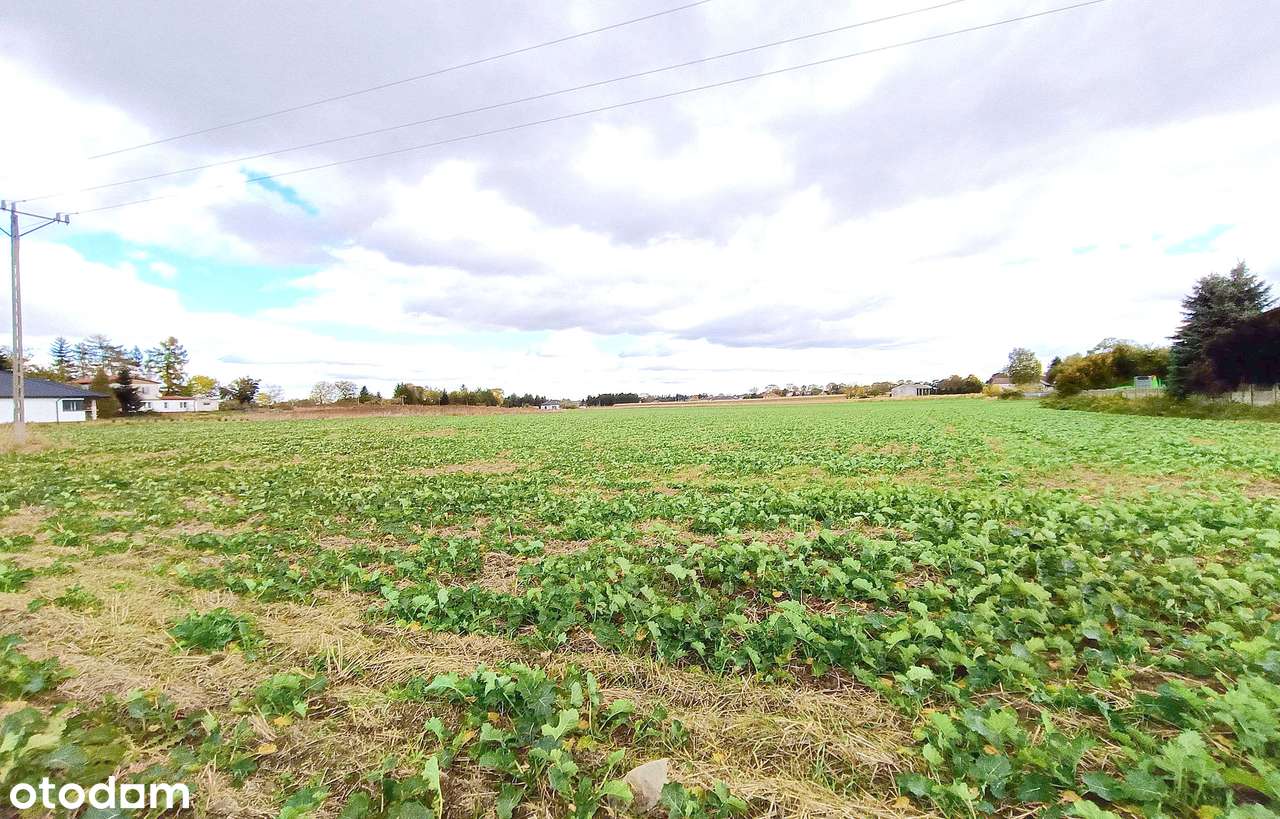 Działki budowlane Płoskie-4