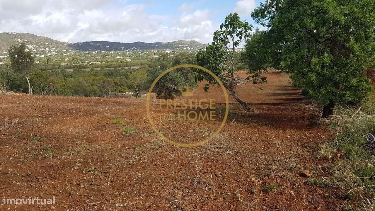 Terreno urbano com área de construção de 233,65m - Grande imagem: 5/17