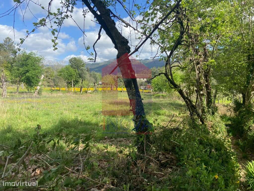 Terreno agrícola, Oriz Santa Marinha - Grande imagem: 3/7