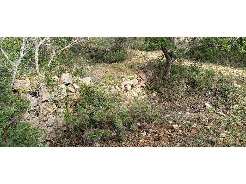 Terreno Rústico com Vista Mar, Alcaria Cova - Estoi - Grande imagem: 4/4