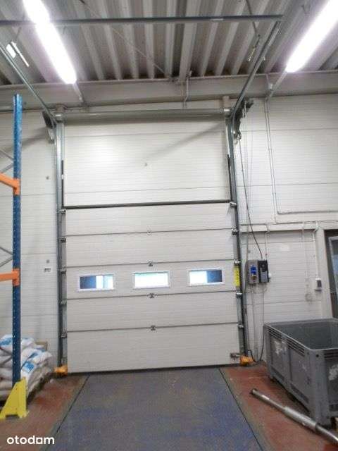 Hala wysokiego składowania do wynajęcia! - Pełny obrazek: 5/10