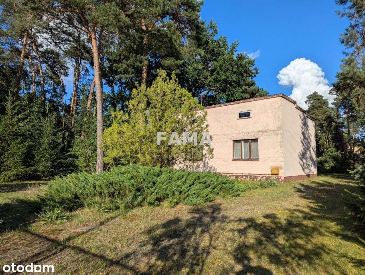 Działka 1310 mkw, dom 55 mkw, Aleja Jana Pawła II - Pełny obrazek: 4/14