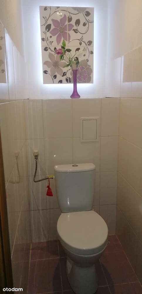 Mieszkanie - tani czynsz - Pełny obrazek: 4/6