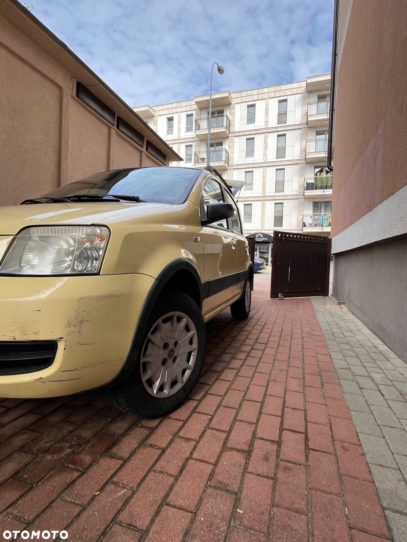 Fiat Panda 1.2 4x4 - 3