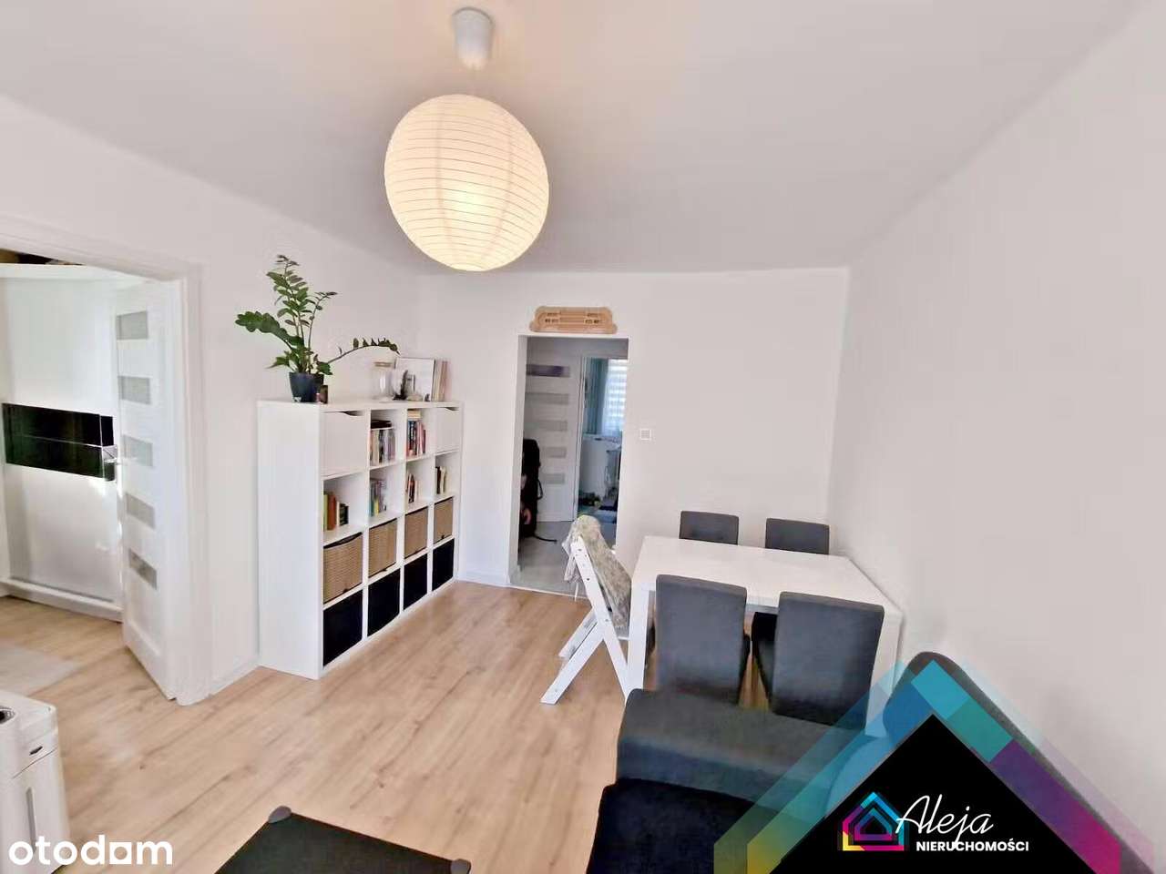 3 pokoje/niskie piętro - Pełny obrazek: 2/12