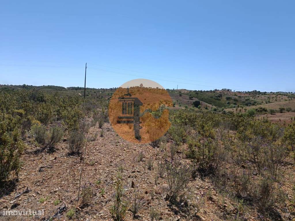 TERRENO COM 34.700 M2 - POSSIBILIDADES DE CONSTRUIR UM ARMAZEM - PR...-12