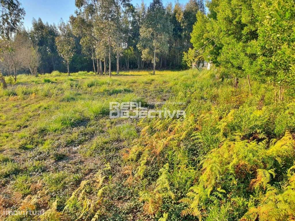 Terreno industrial em Rio Meão - Grande imagem: 5/6