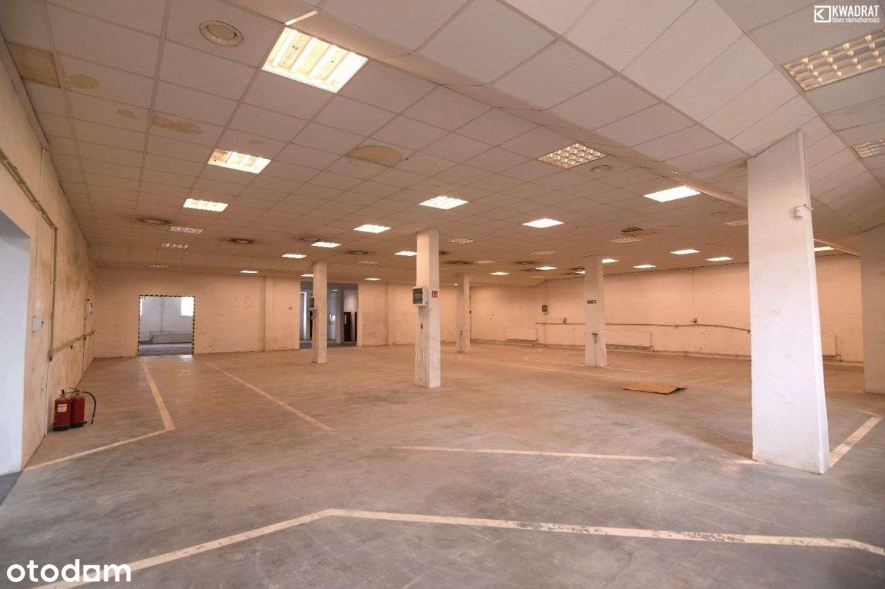 Hala Produkcyjno- Magazynowa Chełm. - Pełny obrazek: 5/8