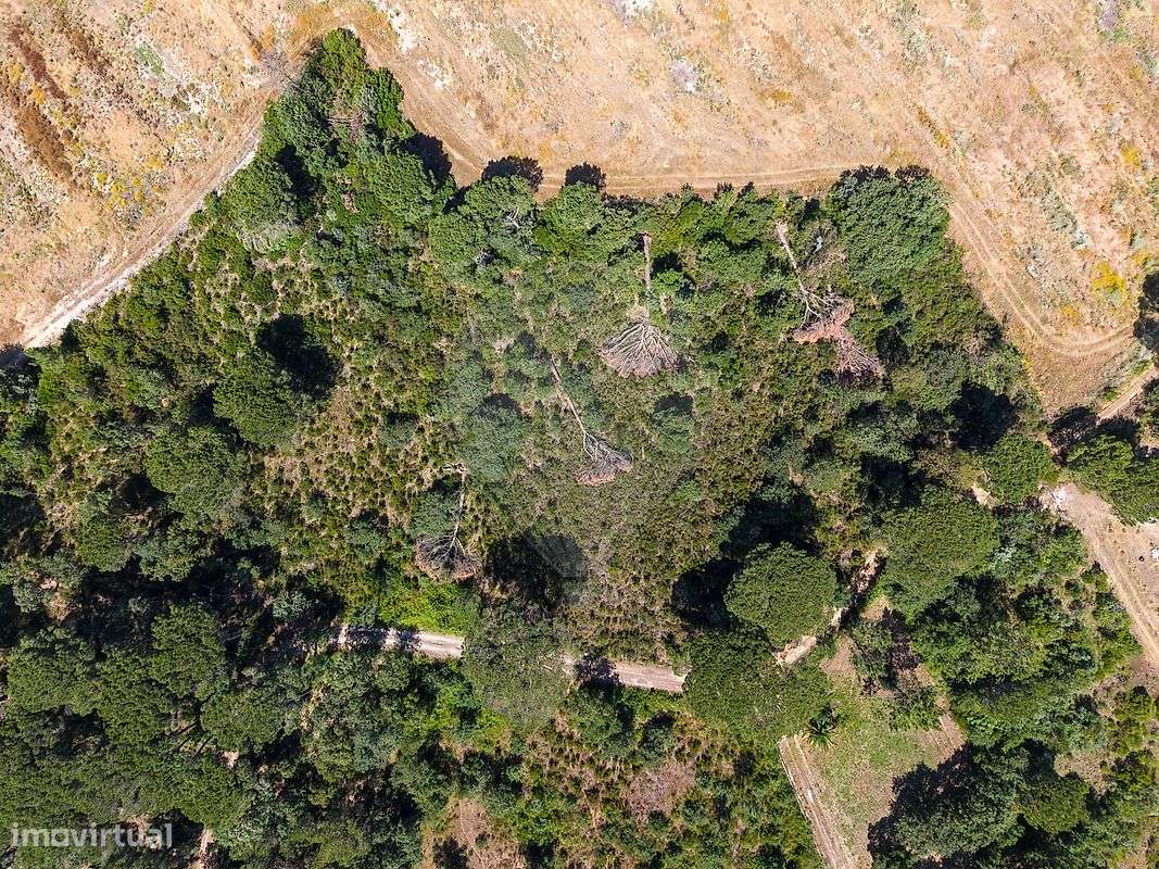 Terreno  para venda-10
