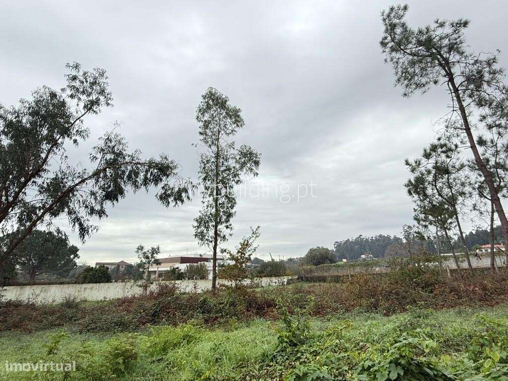 Terreno para construção em Roriz - Grande imagem: 4/12