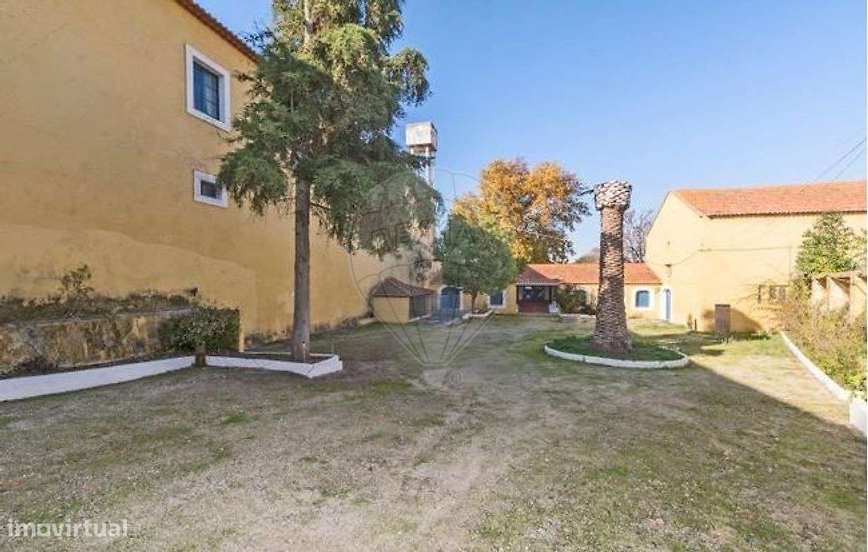 Quinta T21 para venda-34