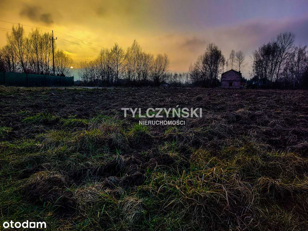 Działka 3000m2 Wólka Grodziska - Pełny obrazek: 5/6