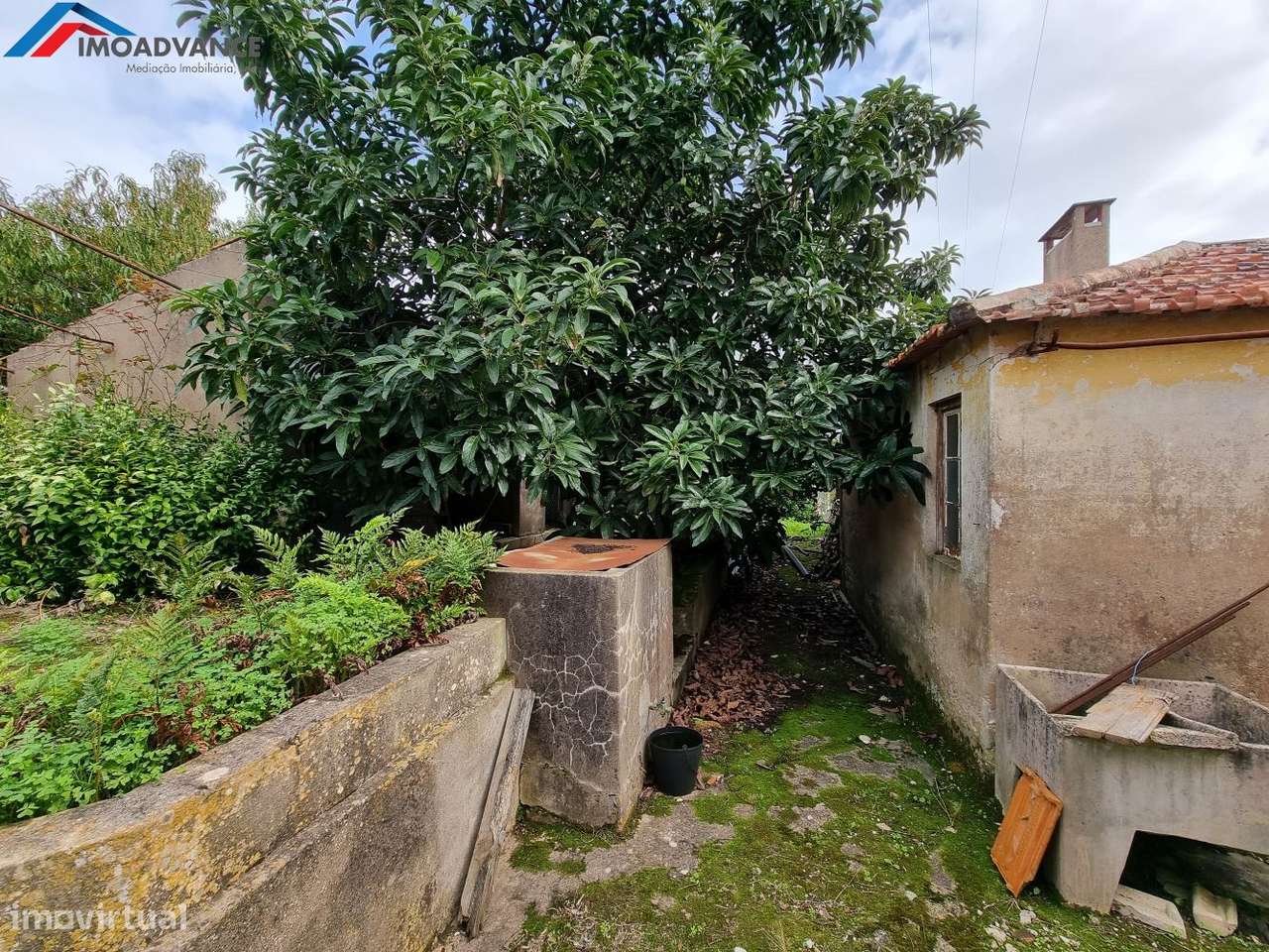 Moradia para Reabilitar com Pomar e Garagem a 3Km da Figueira da Foz - Grande imagem: 5/27
