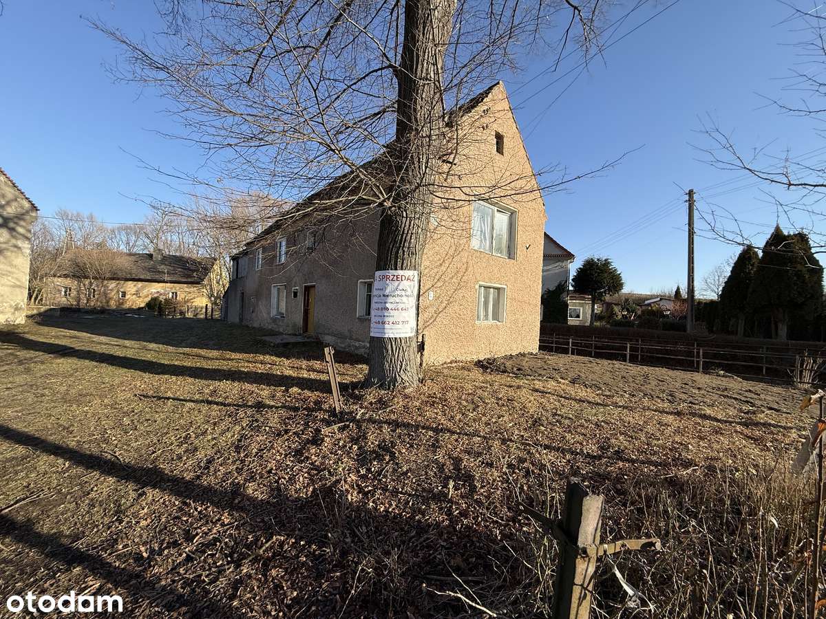 Sosnowa ,Dom wolnostojący + Gospodarstwo-2