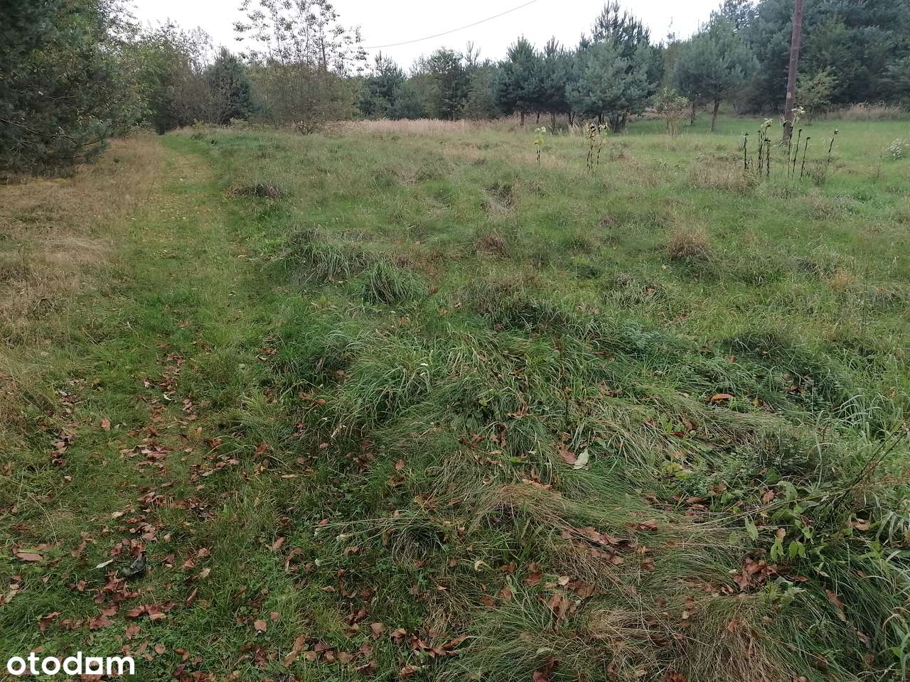 Działka w Przechodzie-4