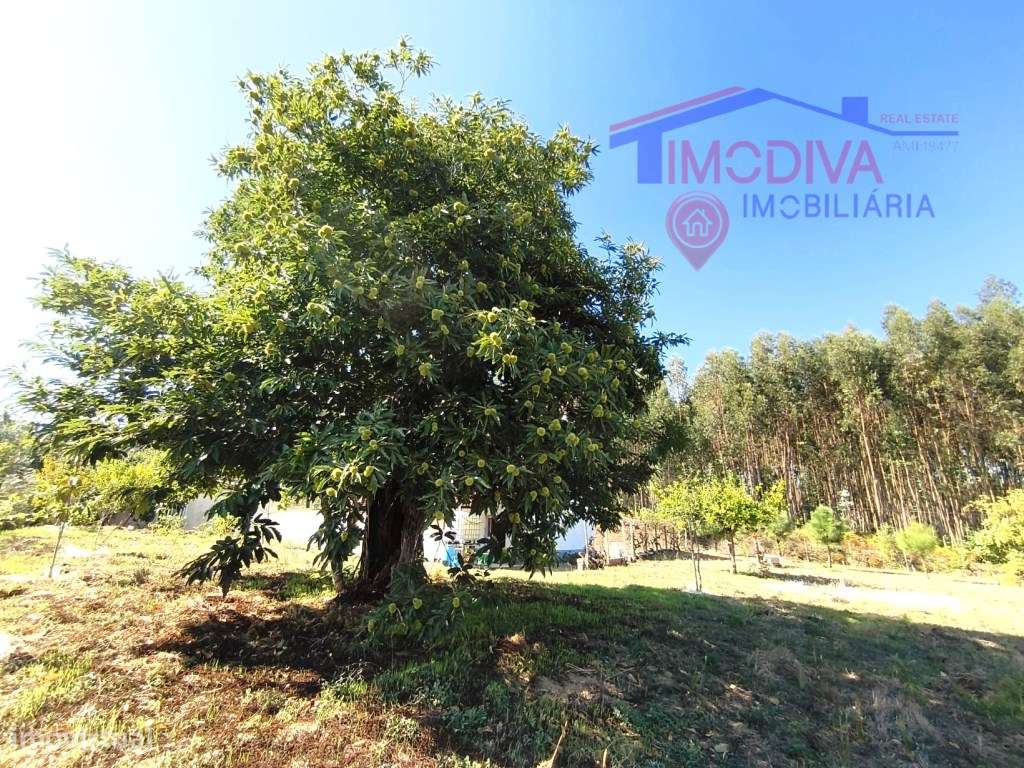 Moradia T3 com garagem e Terreno com 1850 m2 em Arega, Figueiró dos...-58