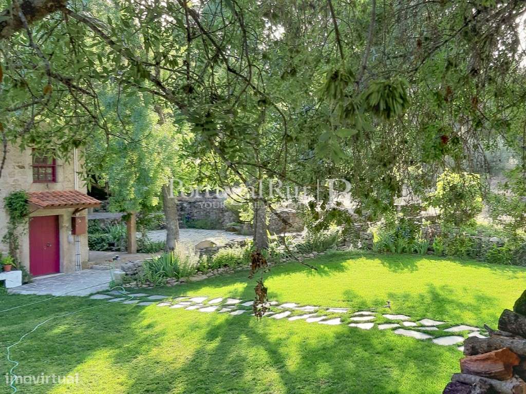 Quinta Rural 8.000 m2 - 2 Casas Habitáveis - confina com Ribeira-24