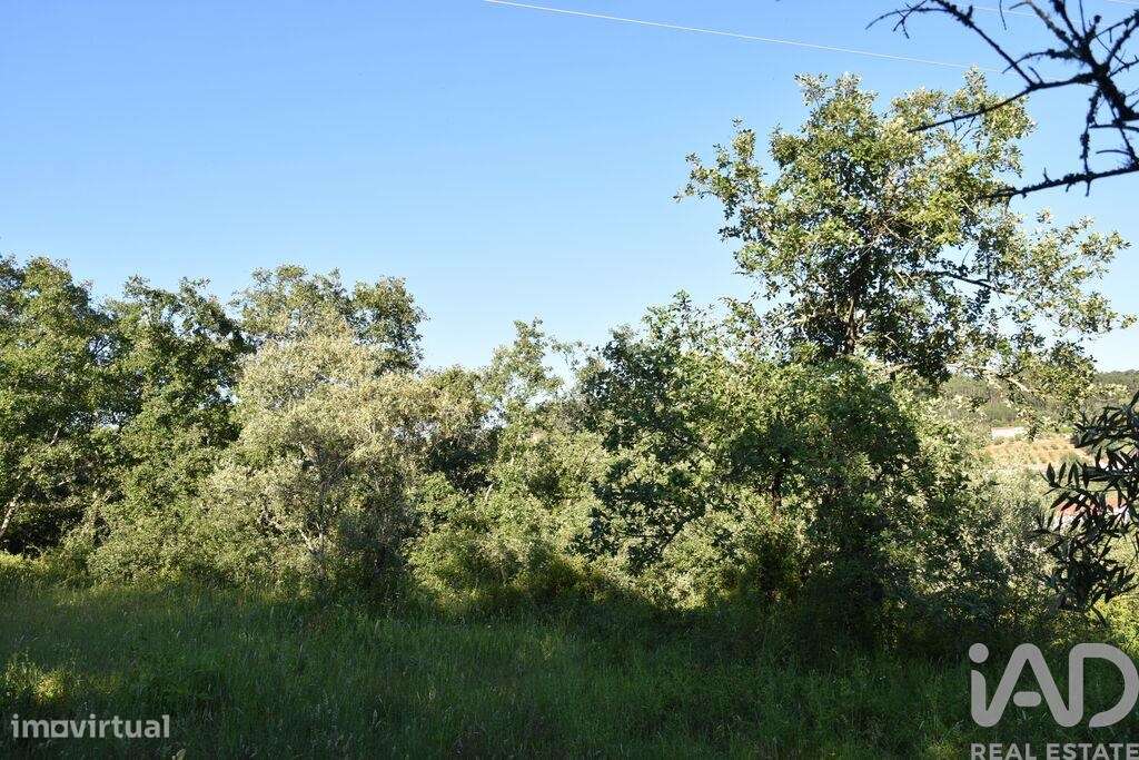 Terreno em Areias e Pias de 1440,00 m2 - Grande imagem: 5/29