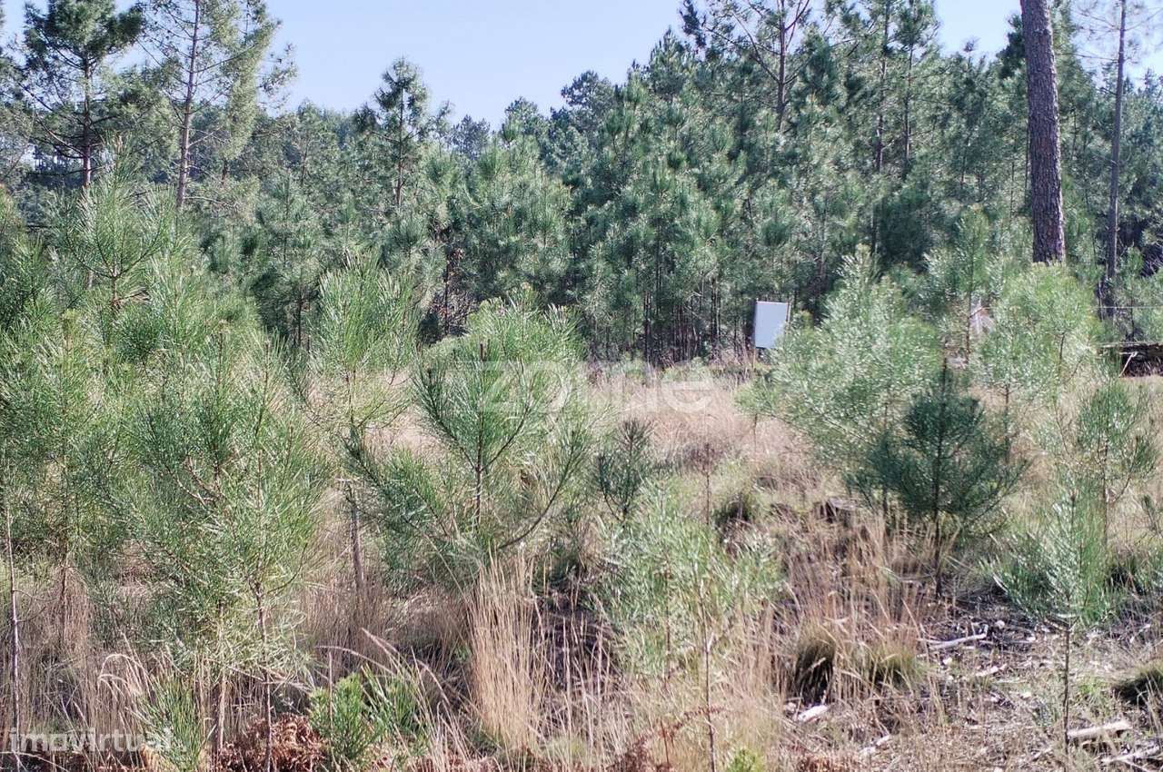 Terreno agricola e florestal.-24