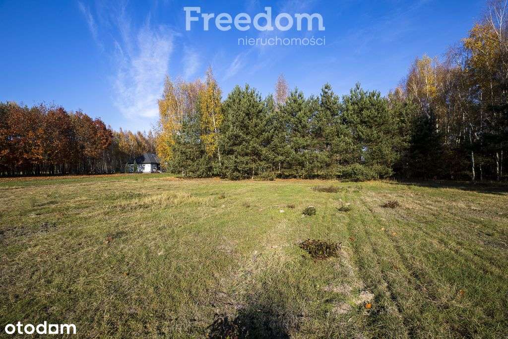 Zielona działka 28,83a w Tarnobrzegu, Ocice - Pełny obrazek: 2/14