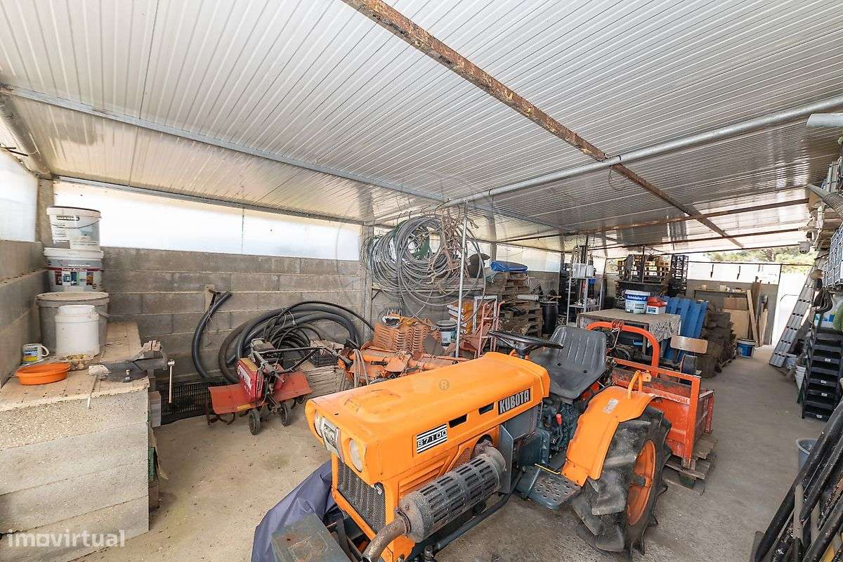 Quinta  para venda-16