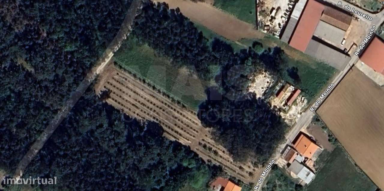 Terreno para construção de Moradias - Grande imagem: 2/4