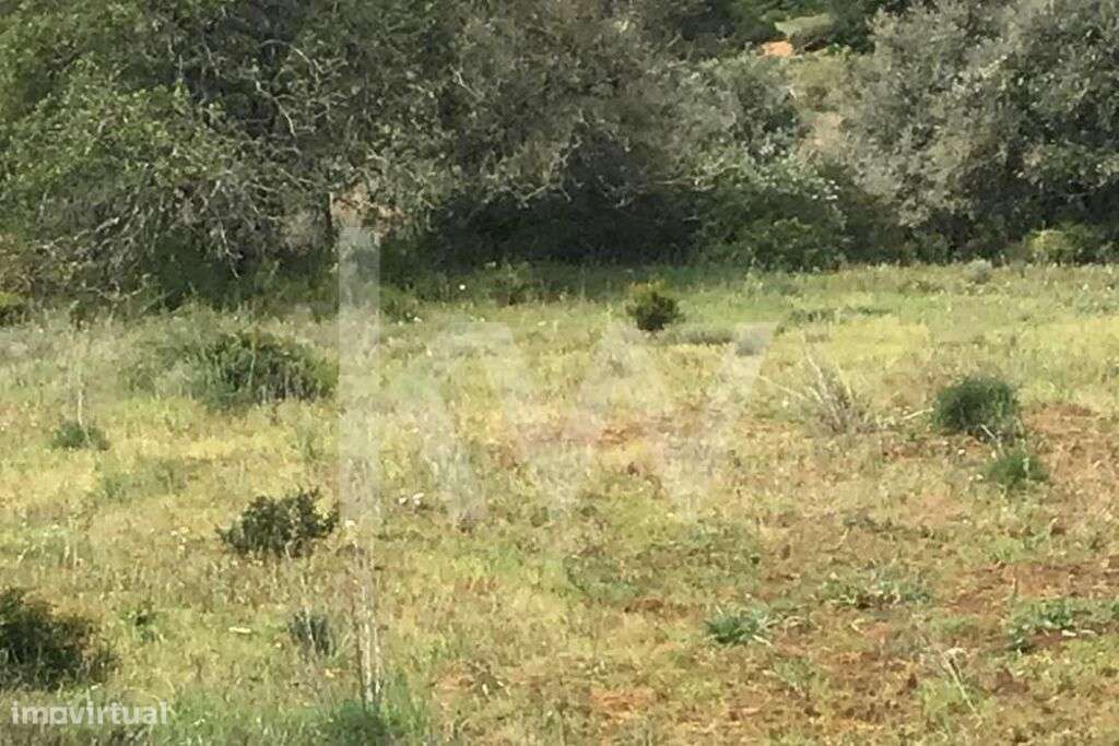 Oportunidade Única! Terreno Rústico de 34.370m2 em Porches Velho com C - Grande imagem: 5/9