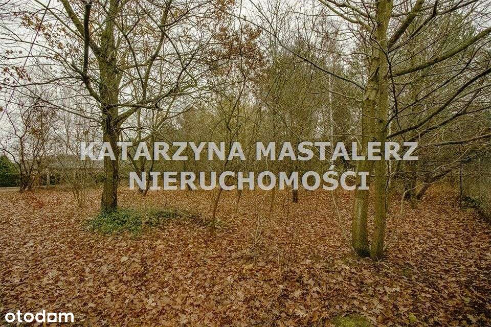 Działka, 2 000 m², Strzeniówka-3