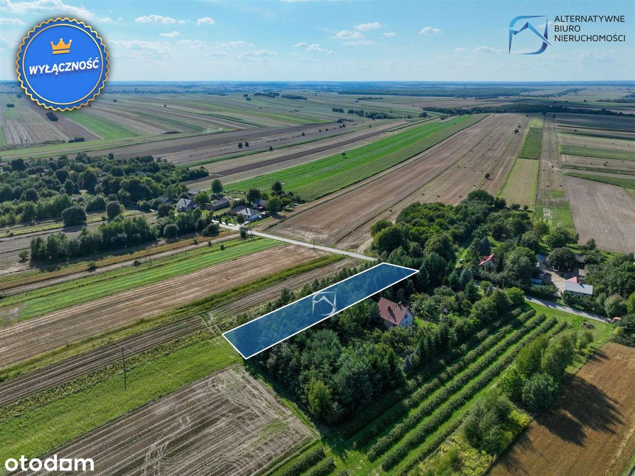 Tani grunt budowlany - 156 tys- Chmiel I - Pełny obrazek: 5/16