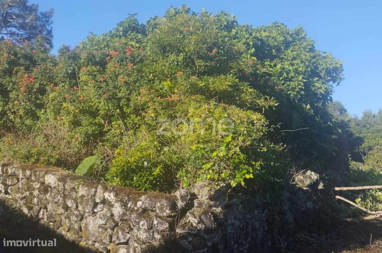 Terreno Urbano Bandeiras/ Pico - Grande imagem: 5/9