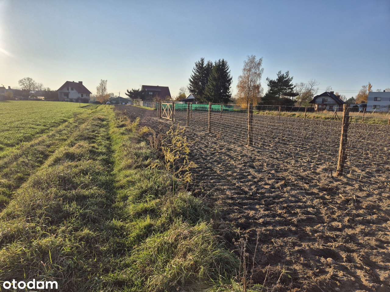 Działka budowlana 706 m2 - Krzycko Wielkie - Pełny obrazek: 3/5