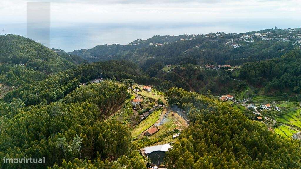 Terreno Agrícola com excelente exposição solar na Camacha  destinado à - Grande imagem: 5/15