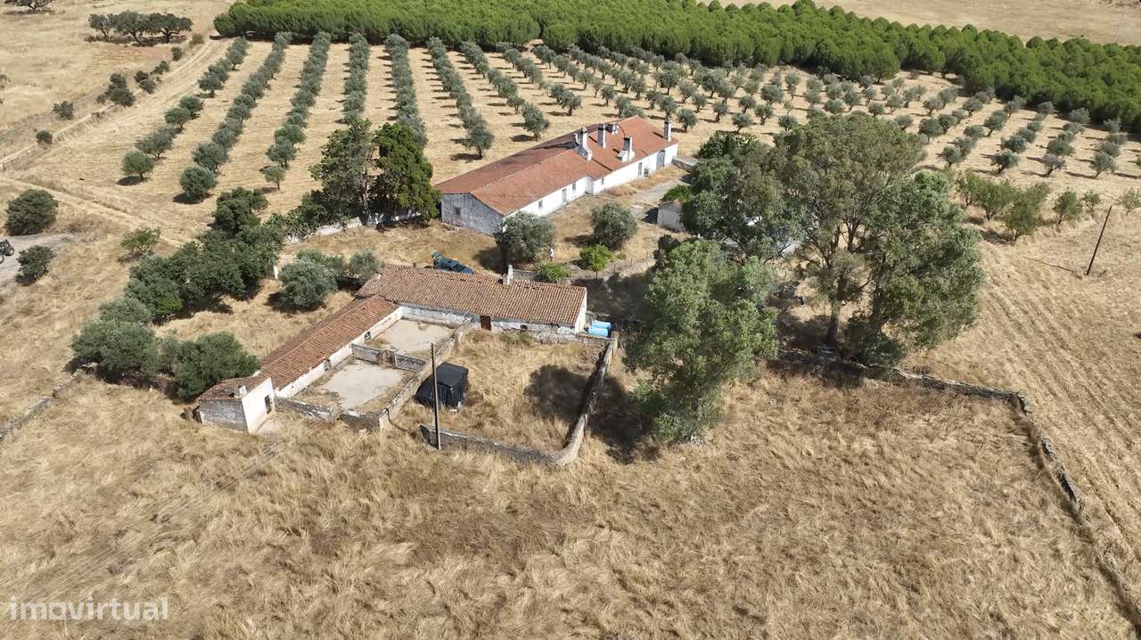 MONTE ALENTEJANO NO ALANDROAL, ÉVORA-6