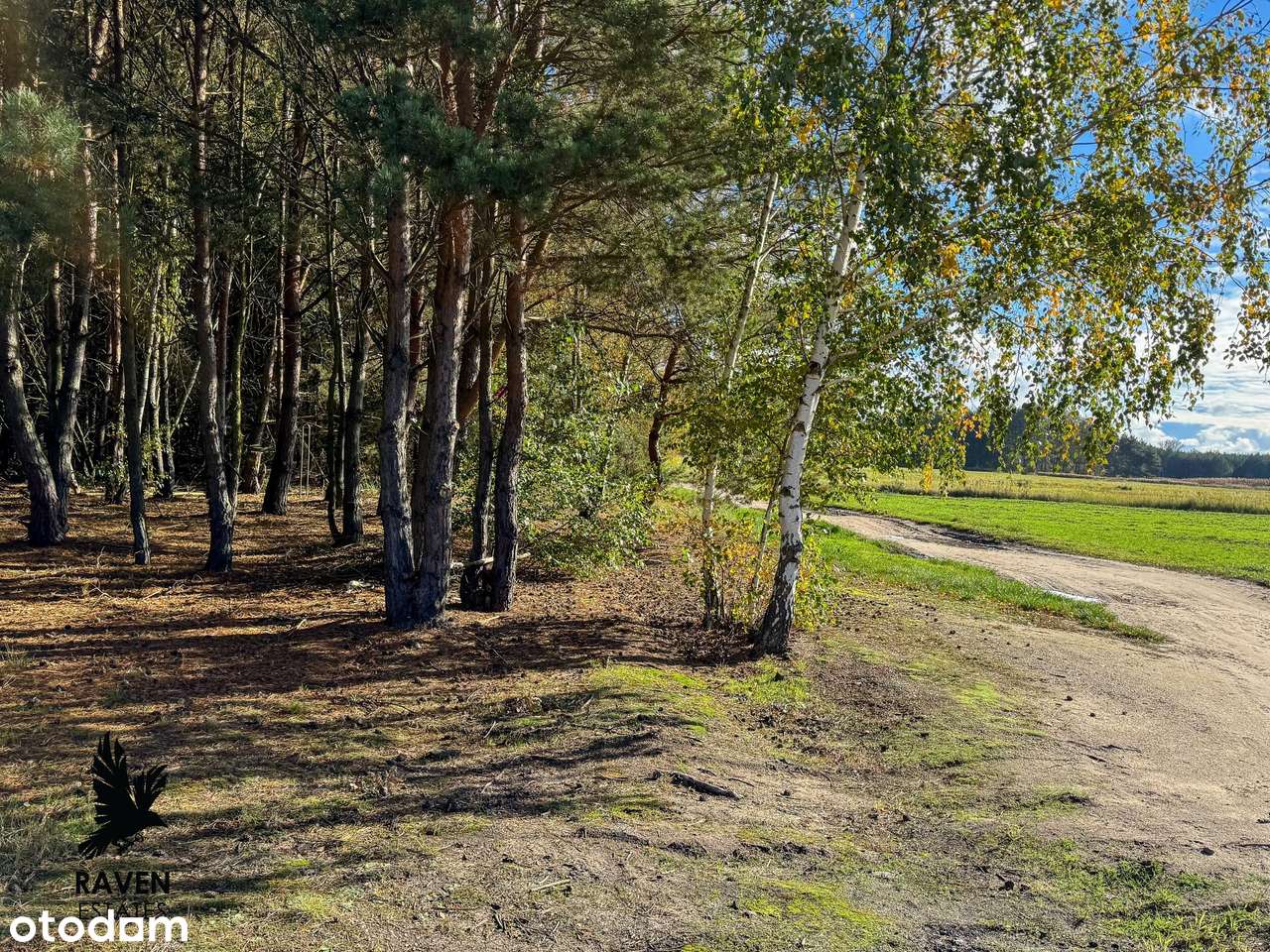 Zamieszkaj wśród drzew – działka z pozwoleniem na budowę-4