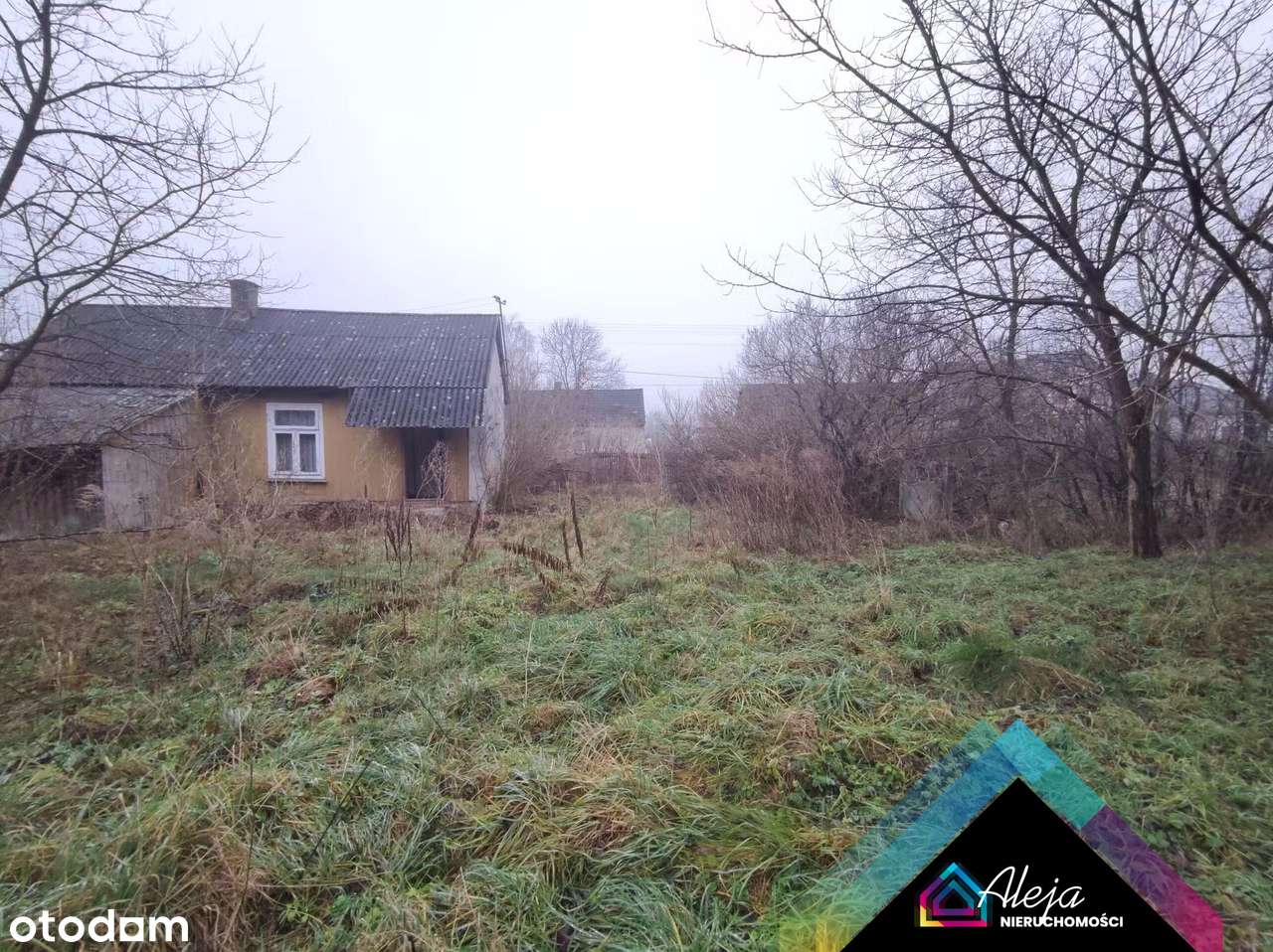 Duża działka z potencjałem w cenie mieszkania - Pełny obrazek: 5/9