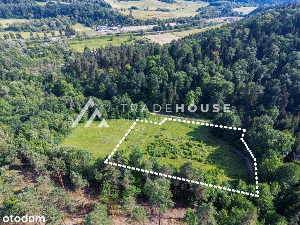 Działki z pozwoleniem na budowę w sercu natury!-2