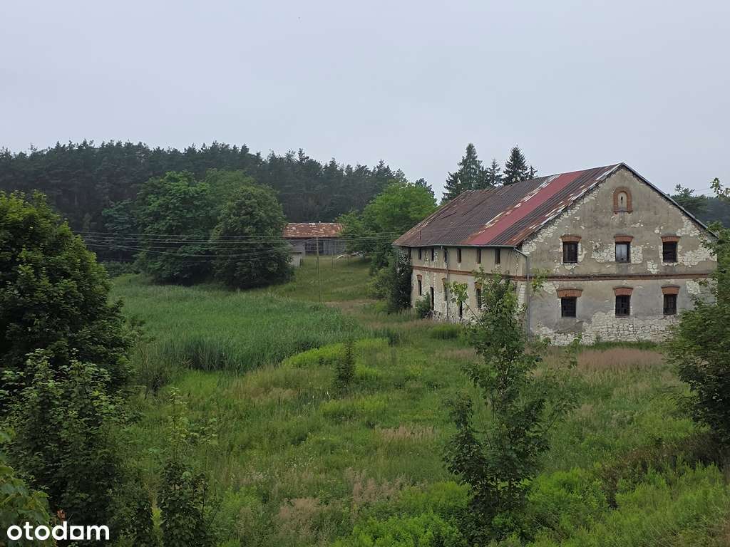 Zabytkowy Młyn, budynki gospodarcze, rzeka, las-1