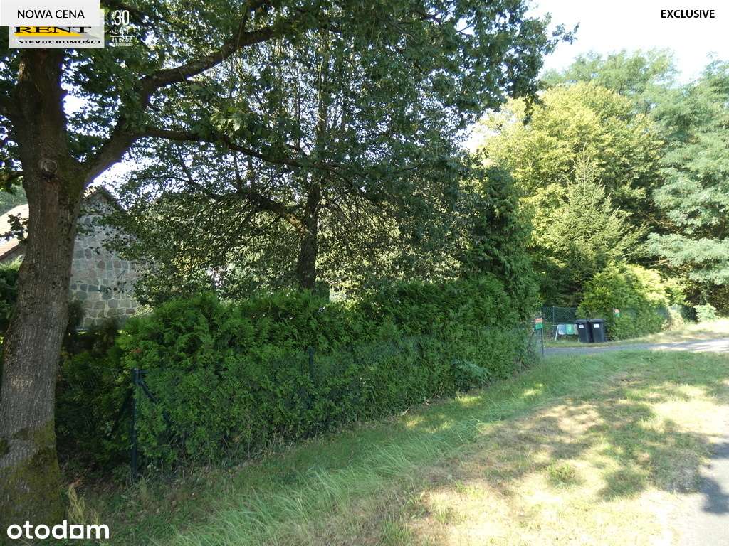 Duża działka z bujną zielenią  blisko miasta - Pełny obrazek: 4/8
