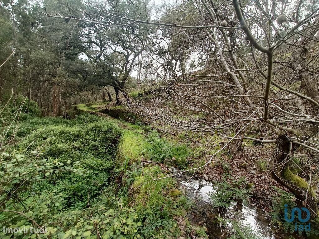 Terreno em Leiria de 4580,00 m2