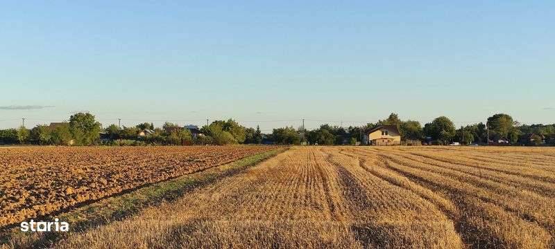 Teren intravilan Piscu - 5000 mp - Imagine principală: 5/6