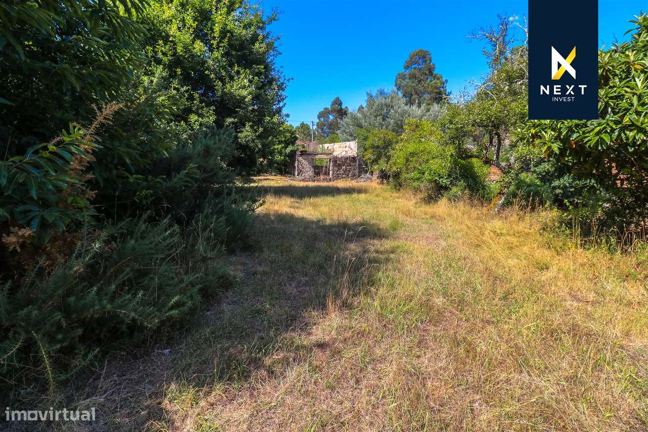 Quintinha com moradia para reconstruir a 10 minutos de Viseu. - Grande imagem: 4/16