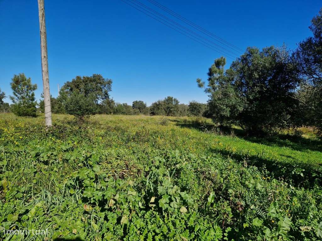 Terreno Paderias - Grande imagem: 3/8