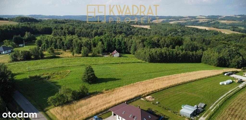 Borówki-Lasek, działka z WZ przy drodze powiatowej-6