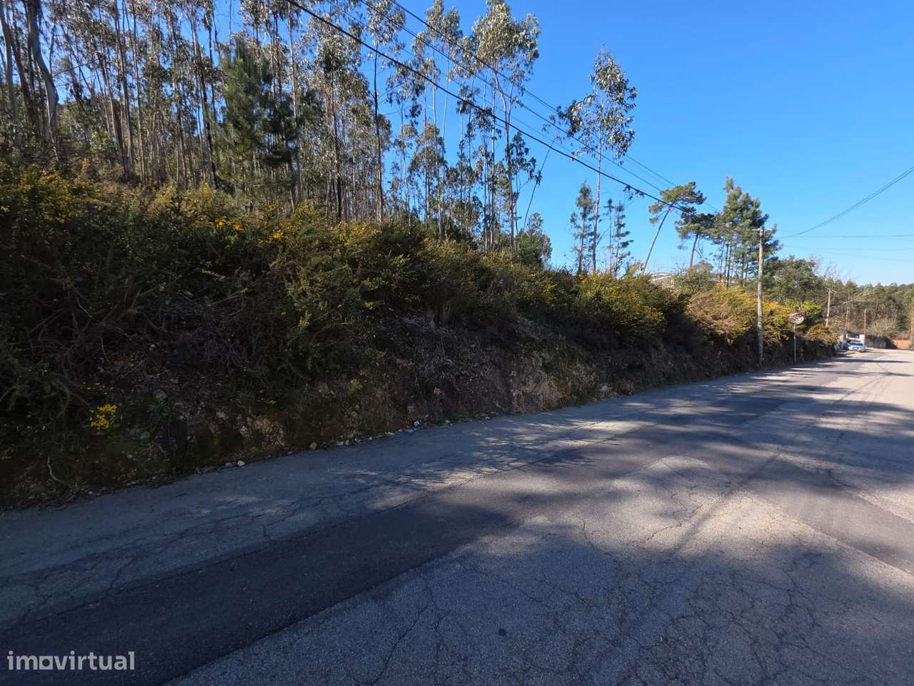 Terreno para construção em Sanguedo - Grande imagem: 2/6