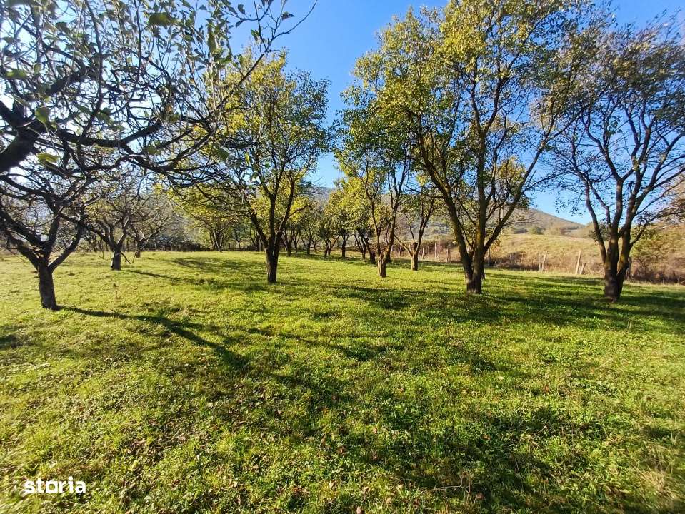 Parcelele cu cele mai bune preturi din judet-3